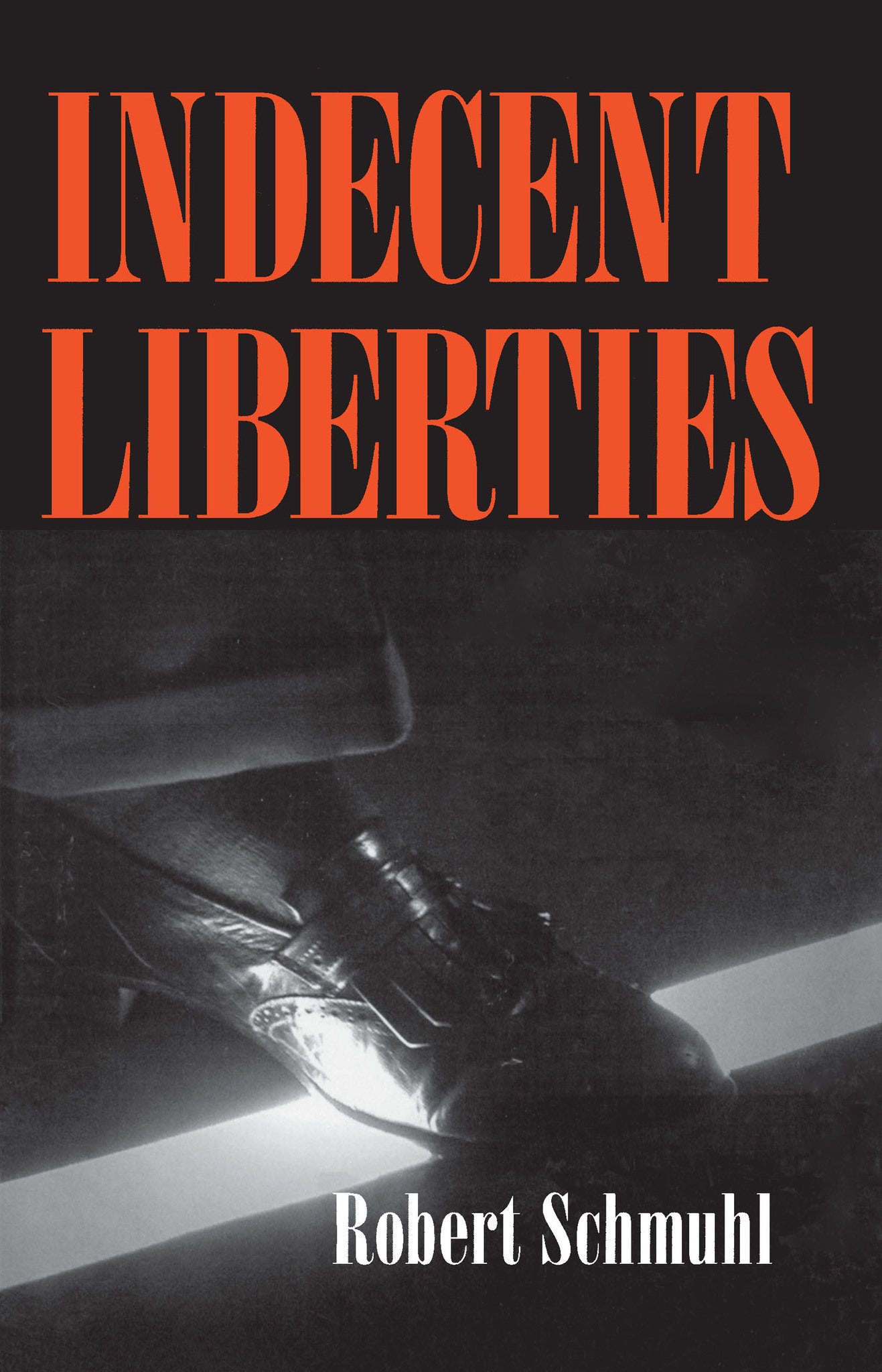 Cover image for Indecent Liberties ISBN 9780268012168
